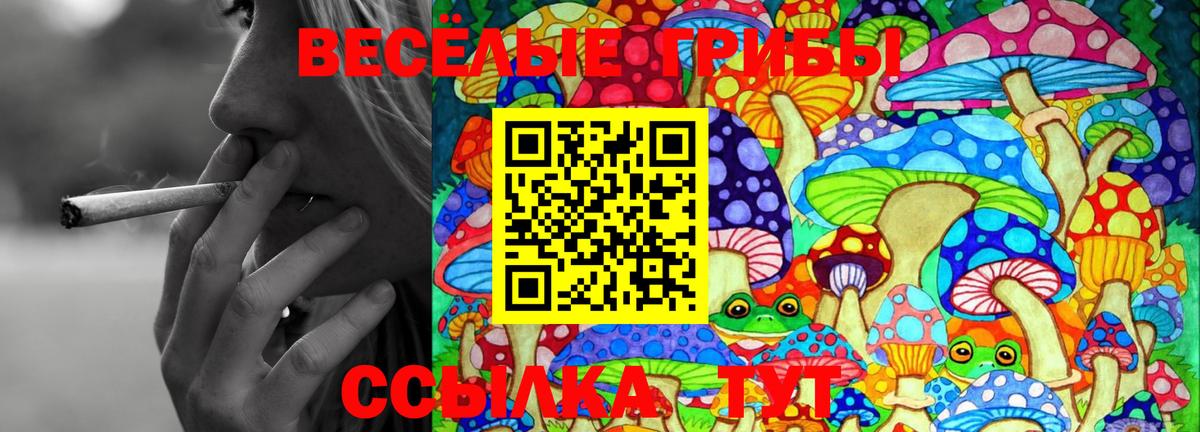 Анжеро-Судженск  Псилоцибиновые грибы Cubensis  Вход с VPN 